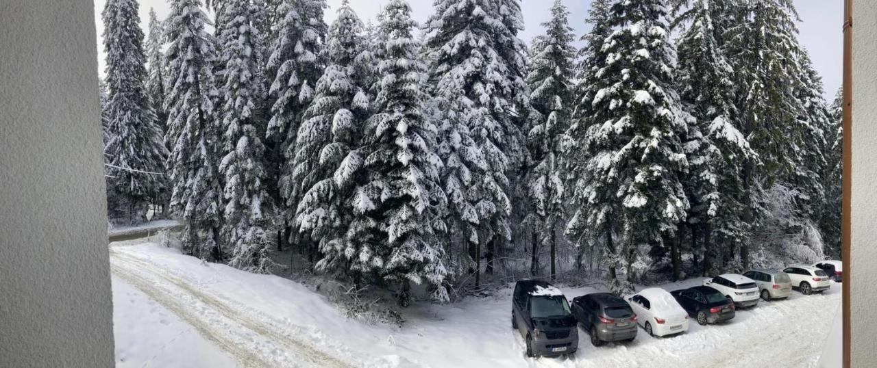 Borovets Gardens Apartment A20 Εξωτερικό φωτογραφία